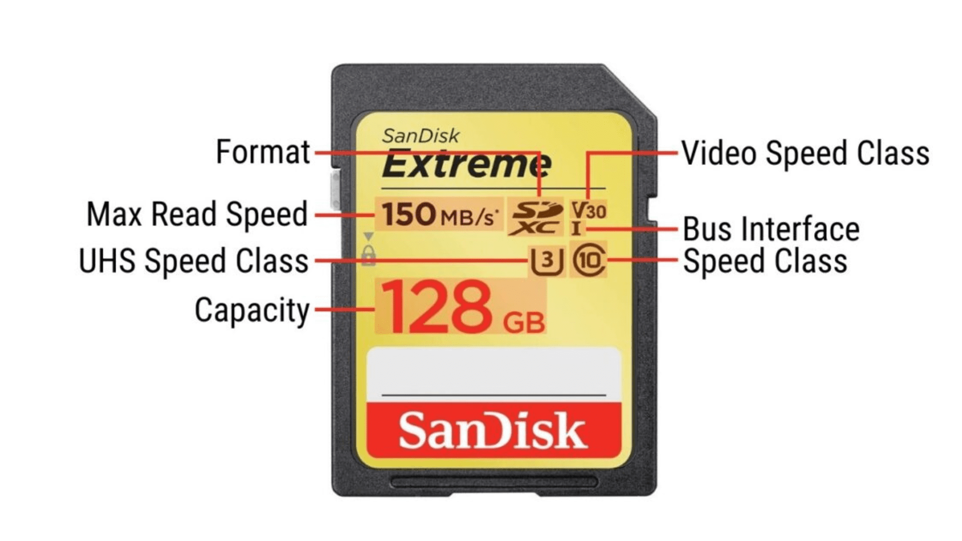 Sandisk Ultra Vs Extreme Which Sd Card Should You Use Artistic Hive