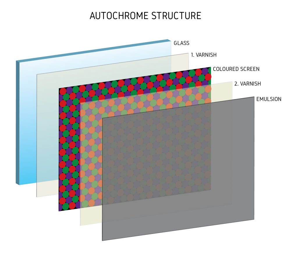 A diagram of the autochrome structure that revolutionized photography when the camera was invented.