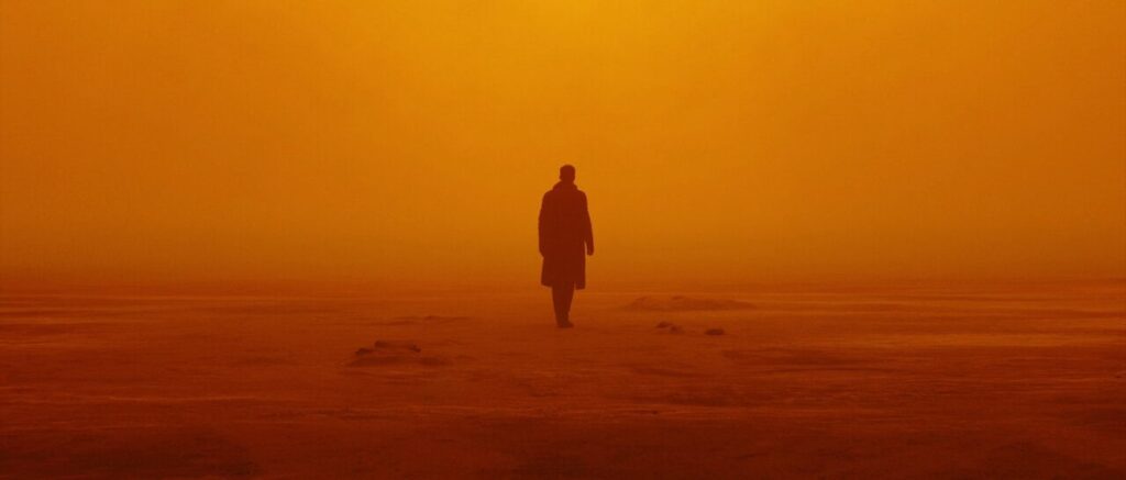A wide shot of a man standing in the desert.