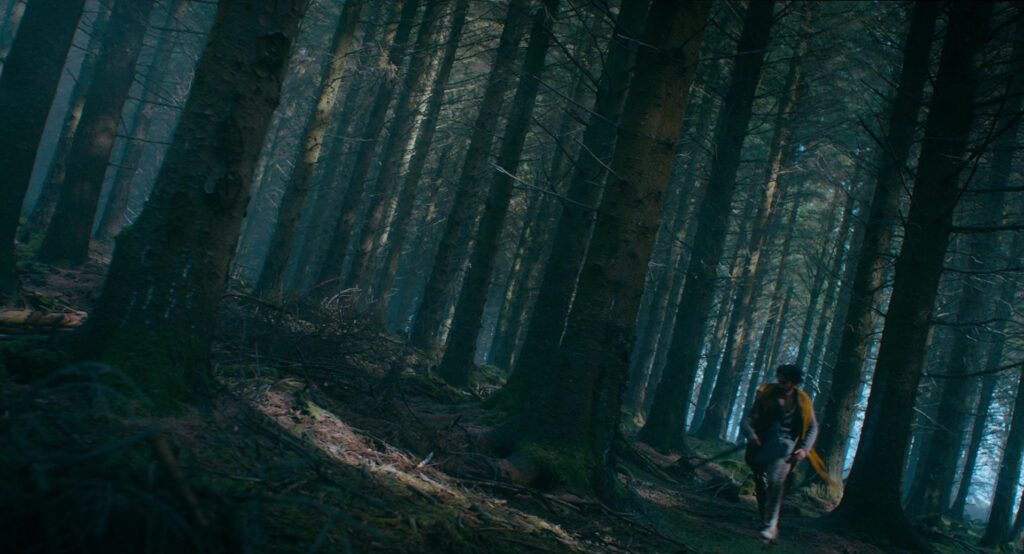 A man riding a horse through a forest, captured with a Dutch Angle Shot.
