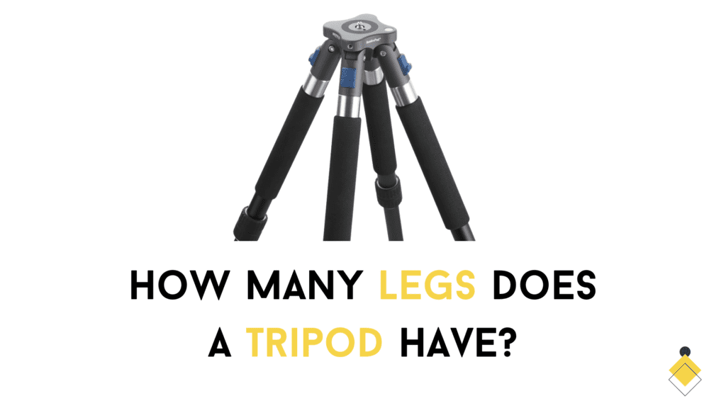 Trips have three legs.