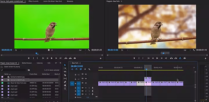 A screenshot of a video editing program demonstrating how to use a green screen.