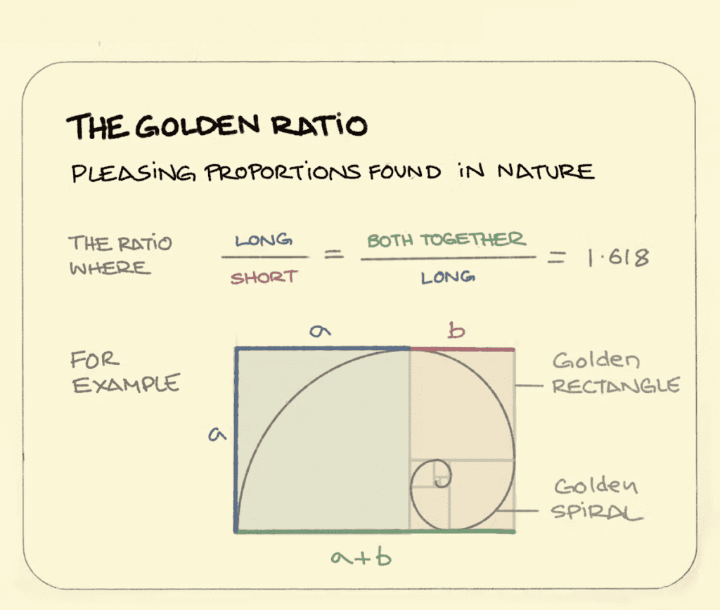 A golden ratio diagram featuring Golden Ratio Art displayed on a white board.