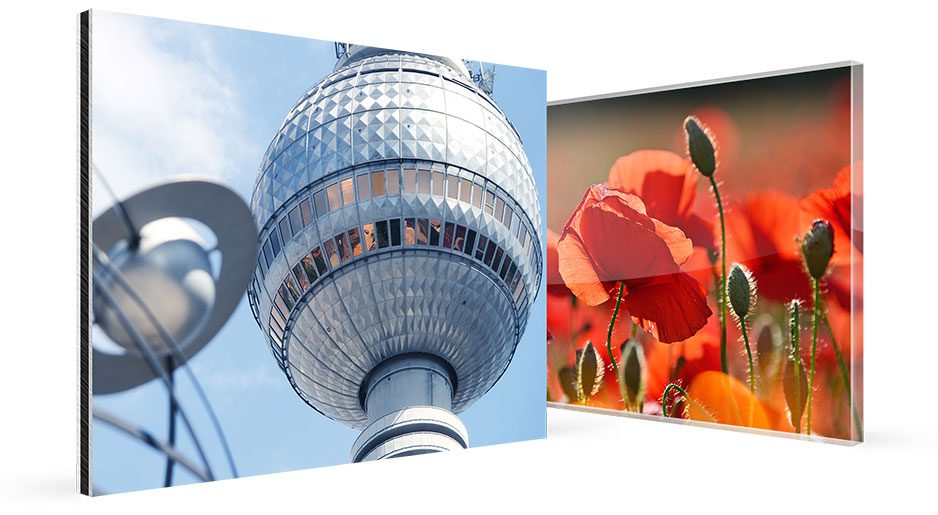 A picture of the tv tower and a red flower captured in brilliant acrylic.