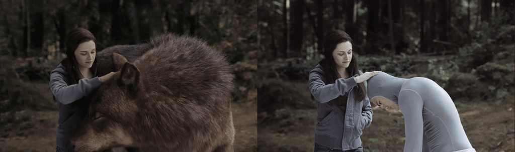 In a forest setting, someone gently pets the head of a large wolf on the left while on the right, they interact with a person in a grey motion capture suit, hinting at the magic behind CGI, which stands for computer-generated imagery.