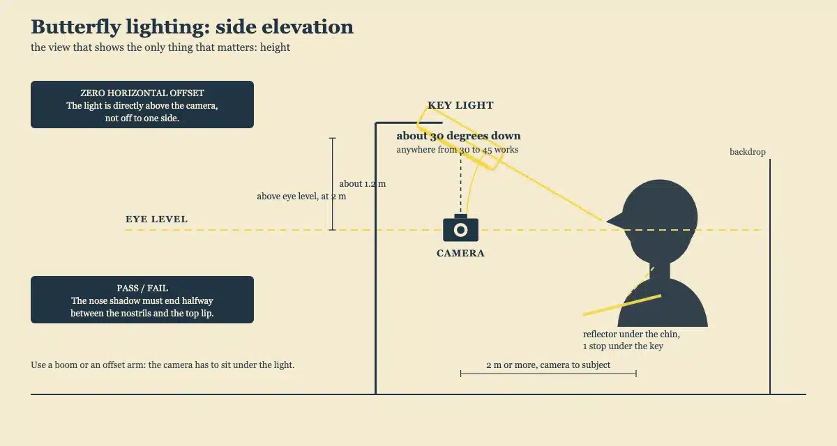 Butterfly lighting setup diagram, side elevation, showing the key light above the camera on the same vertical plane, angled about 30 degrees down, 60 to 90 cm above eye level, with a reflector under the chin